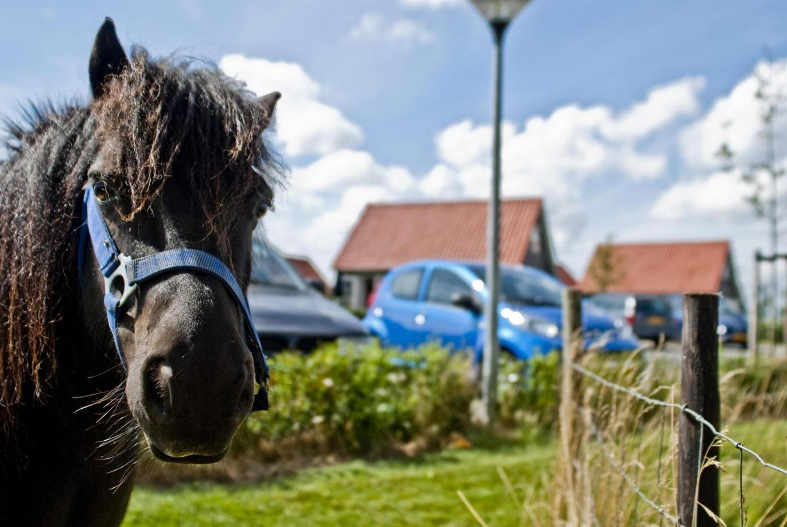 5-persoons Zeeuwse Vakantiehuis Wemeldinge